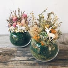 mini zoo 乾燥盆花