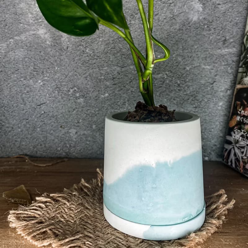 【手作水泥盆】大海的顏色/ 盆器
