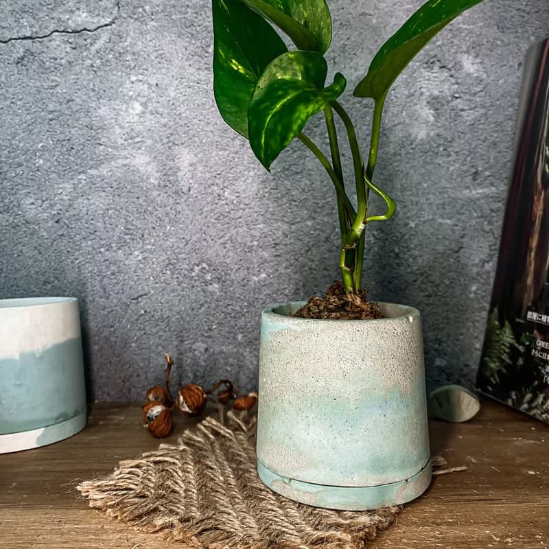 【手作水泥盆】大海的顏色/ 盆器