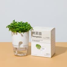 自己的菜自己種 可重用微菜苗microgreens 種植杯