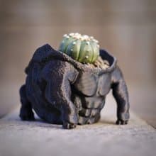 【金剛王】3d盆器 塊根盆 多肉盆  3d列印 白馬城 象牙宮 盆