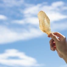 人氣回購NO.1【帕瑪森起司雞肉片】高營養 適口性佳 挑嘴貓狗最愛