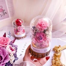 玫瑰花/康乃馨玻璃罩  乾燥花 永生花 夜燈 婚禮 母親節禮物 畢業