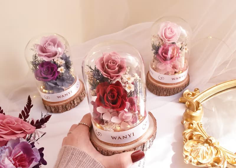 玫瑰花/康乃馨玻璃罩  乾燥花 永生花 夜燈 婚禮 母親節禮物 畢業