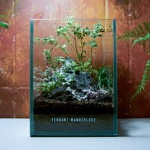 【生態缸－霜染青峰】微景觀 室內植栽 禮物 辦公室擺設