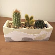 水墨長方泥盆