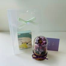 SLL關鍵字香膏 X Mei Story迷你永生花玻璃球 - 紫羅蘭