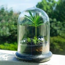 苔癬生態瓶體驗-煤炭基地 生態瓶 體驗 活動 微景觀