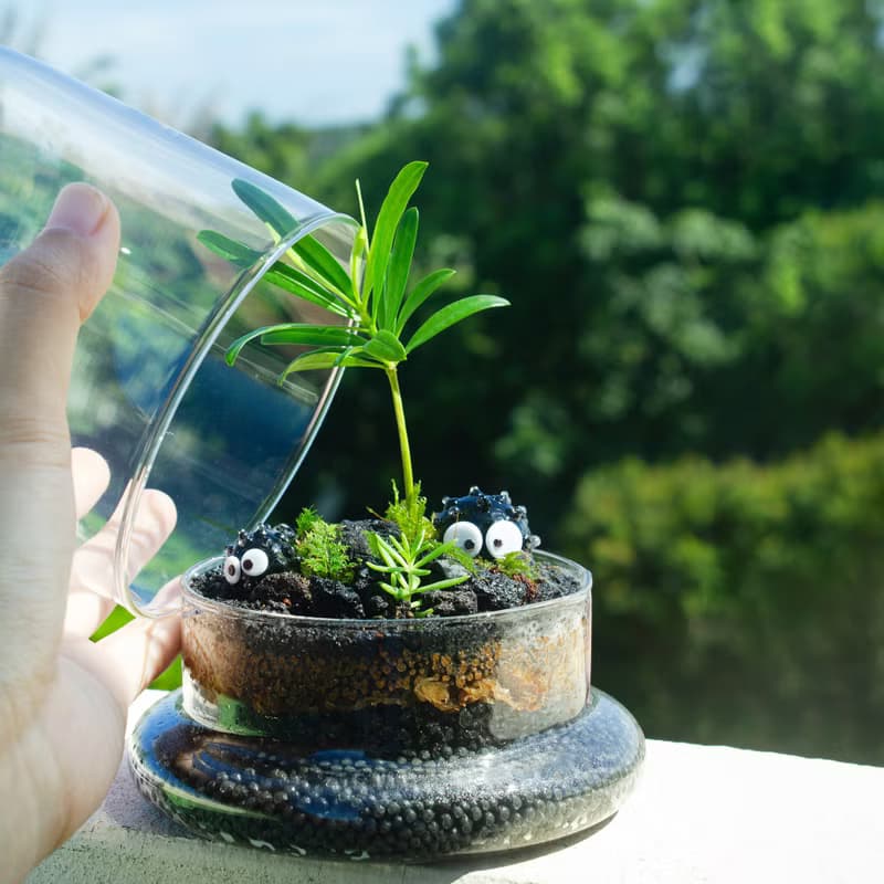 【體驗】苔癬生態瓶體驗-煤炭基地 生態瓶 體驗 活動 微景觀