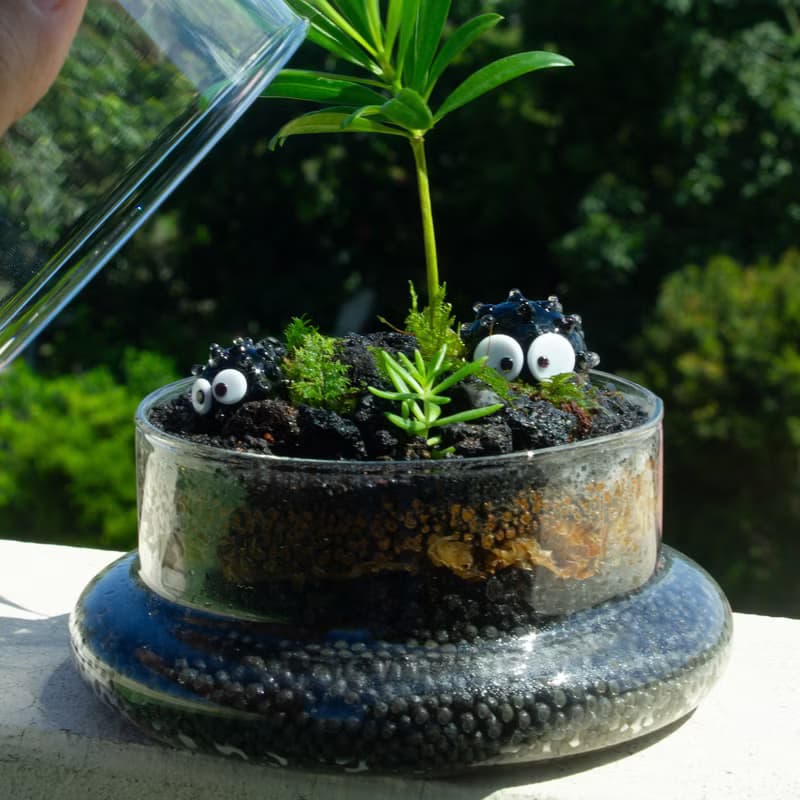 【體驗】苔癬生態瓶體驗-煤炭基地 生態瓶 體驗 活動 微景觀