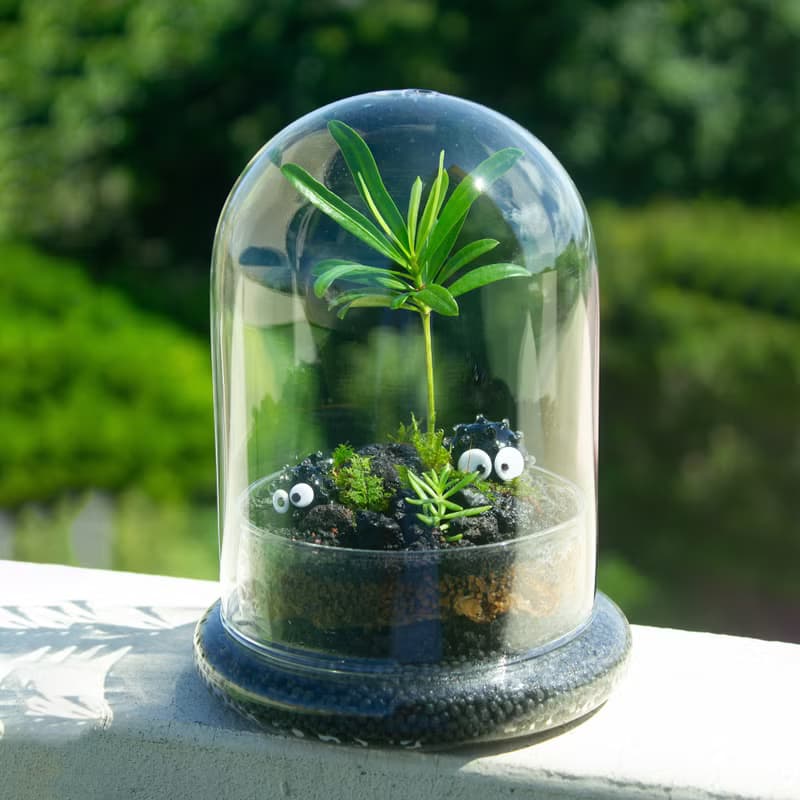 【體驗】苔癬生態瓶體驗-煤炭基地 生態瓶 體驗 活動 微景觀