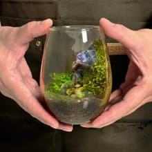 共築綠境 / 礦石苔蘚盆手作體驗課_小朋友免費