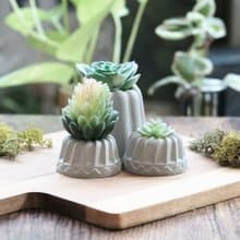 水泥甜點組合 仿真多肉 可麗露水泥盆栽 甜點盆栽 水泥點心