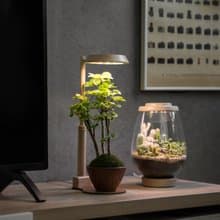 【全光譜 伸縮植物燈】不含植物 擬太陽光 圓檯植物燈伸縮款|蒔光