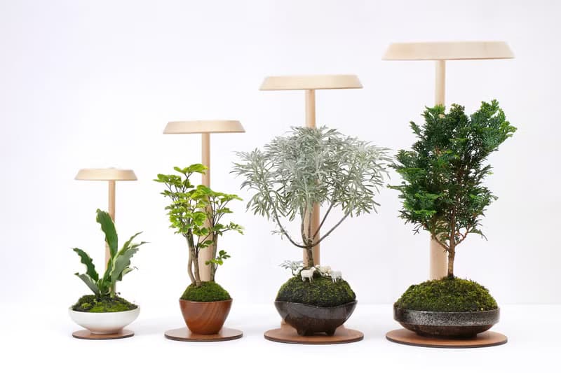 【全光譜 伸縮植物燈】不含植物 擬太陽光 圓檯植物燈伸縮款|蒔光