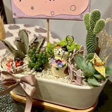 粉紫捧花 貓 台中多肉組盆 多肉植物 植栽送禮 生日 日本decole