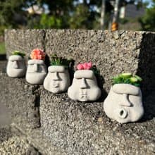 摩艾長肉肉 仿真 多肉植物 摩艾石像 畢業禮物 聖誕禮物 生日禮物