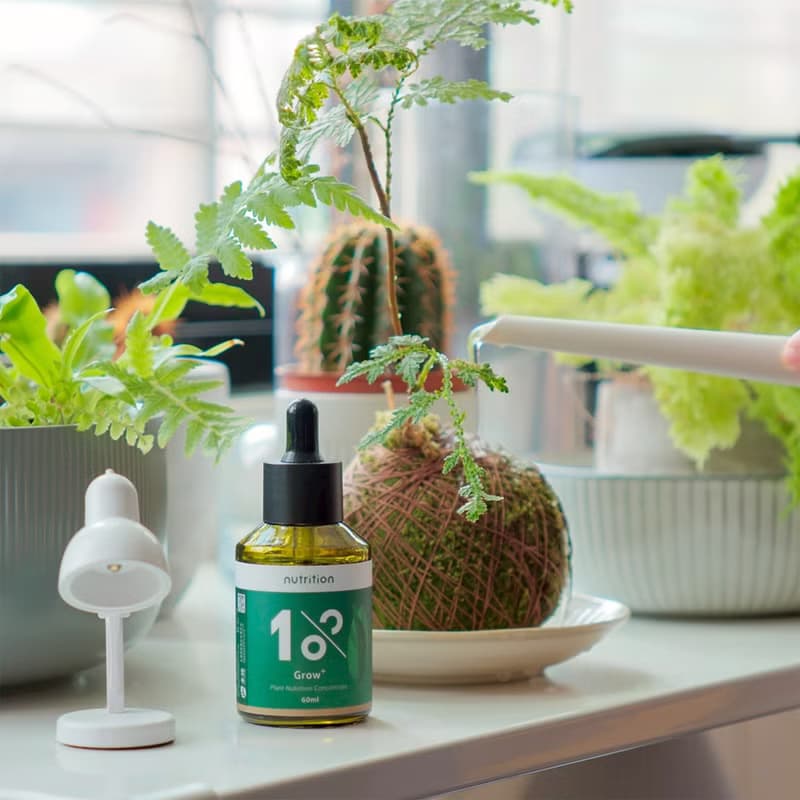 │ 促進生長 │ 1%植物營養精華 -  新芽發葉 受損修復 童寵友善