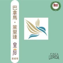 TreesWind 巴拿馬 萊里達 皇后 濾掛咖啡
