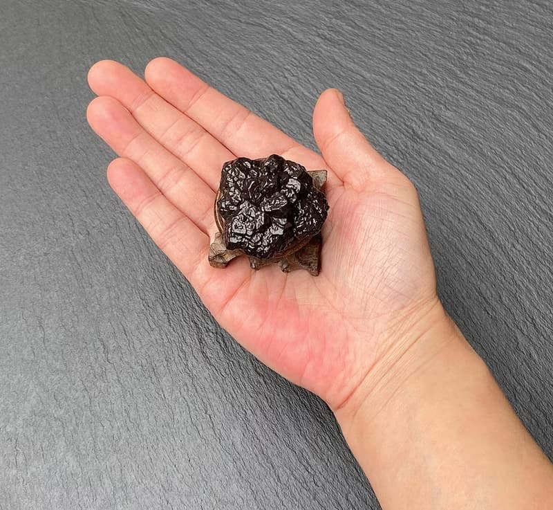 能量原石-精選天然埃及預言石立體晶花擺件 上帝溝通石 天機石