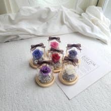 【現貨】迷你永生花玻璃球罩盅。5公分。附包裝。。畢業。老師禮