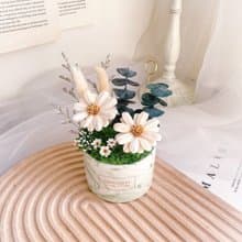 棉花瑪格麗特盆花  乾燥花/婚禮小物/情人節/升遷盆花/生日禮物教