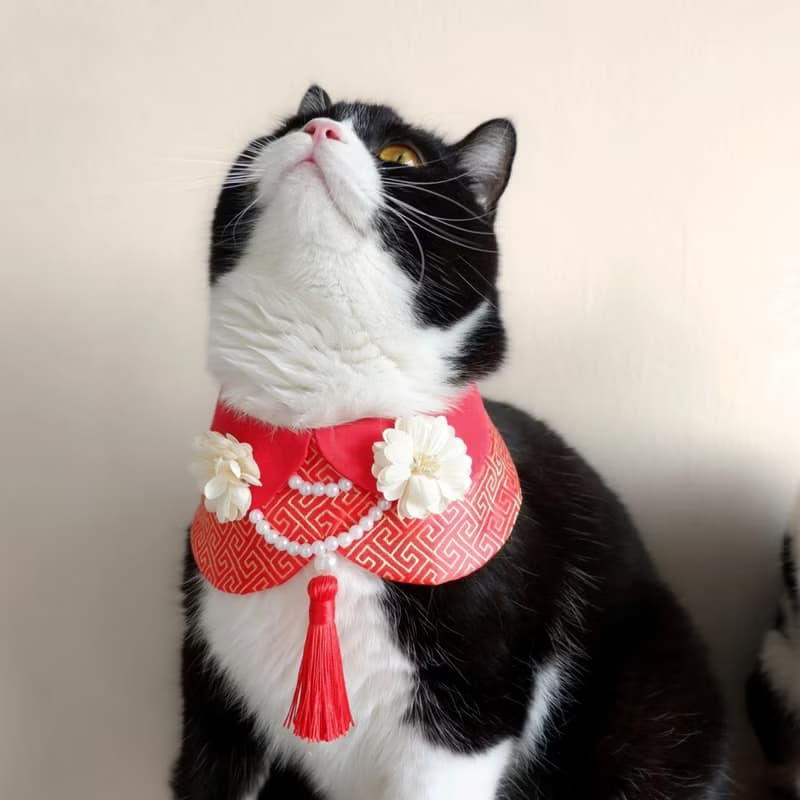 Chinese style bibs for cat and small dog,adjusable,available 2 colors