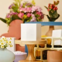 DailyScent S/S - FIKA