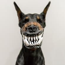 Werewolf Bloodless Dog muzzle Scary Doberman muzzles Pet Gift Halloween Costume