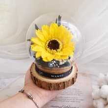 向日葵夢想魔法球  乾燥花 永生花 不凋花  送禮 生日 開幕聖誕樹