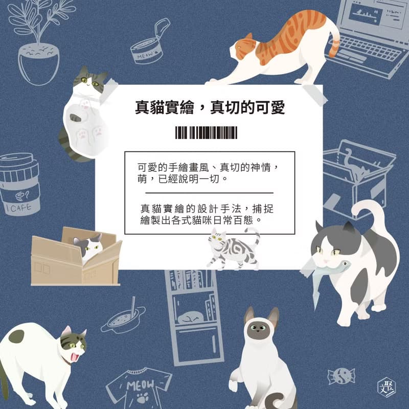 文聚 貓與自然農 貓咪花草茶-- 貓之百款日常 綜合禮盒- 四款風味