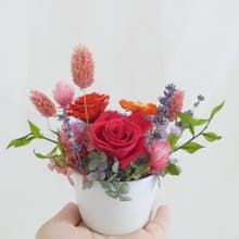 開運招財盆栽盆花 結婚桌花店面開幕入厝企業贈禮榮升退休佈置七