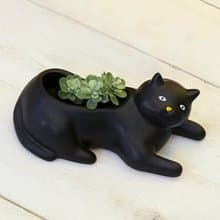 美國 Kikkerland 黑貓花盆 可愛多肉花盆迷你花器 桌面裝飾擺件