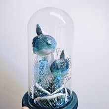 曼波魚漫游