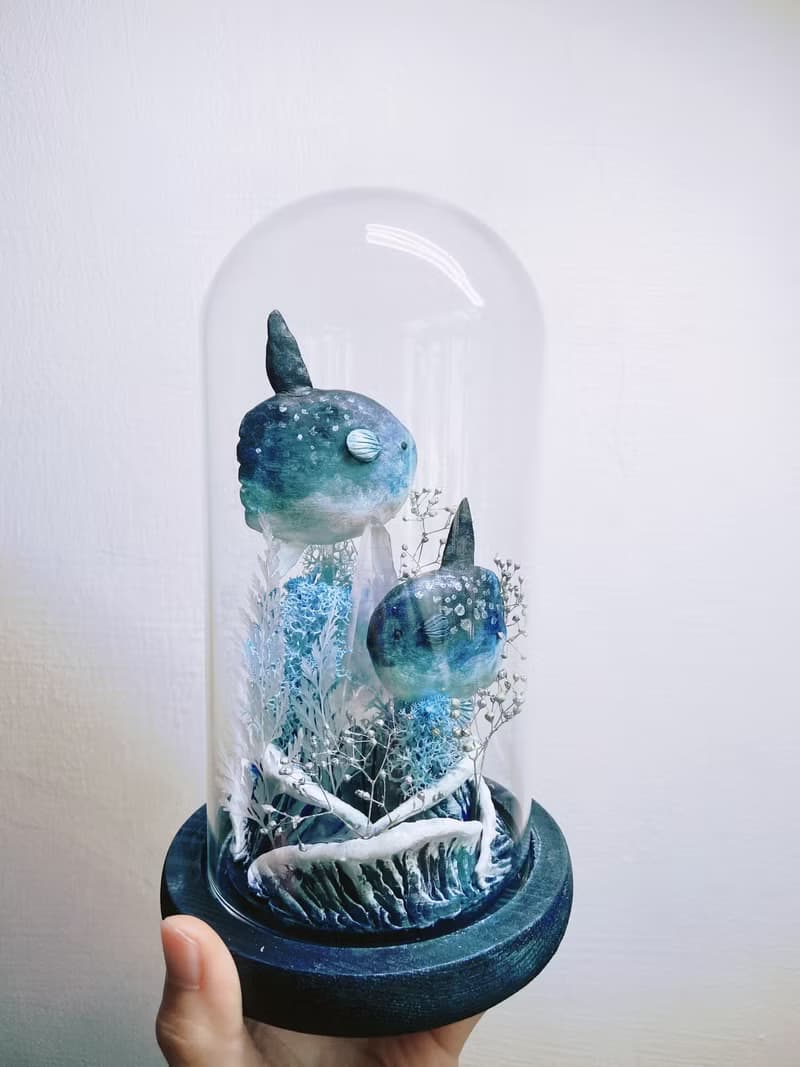曼波魚漫游