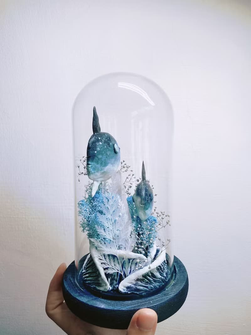 曼波魚漫游