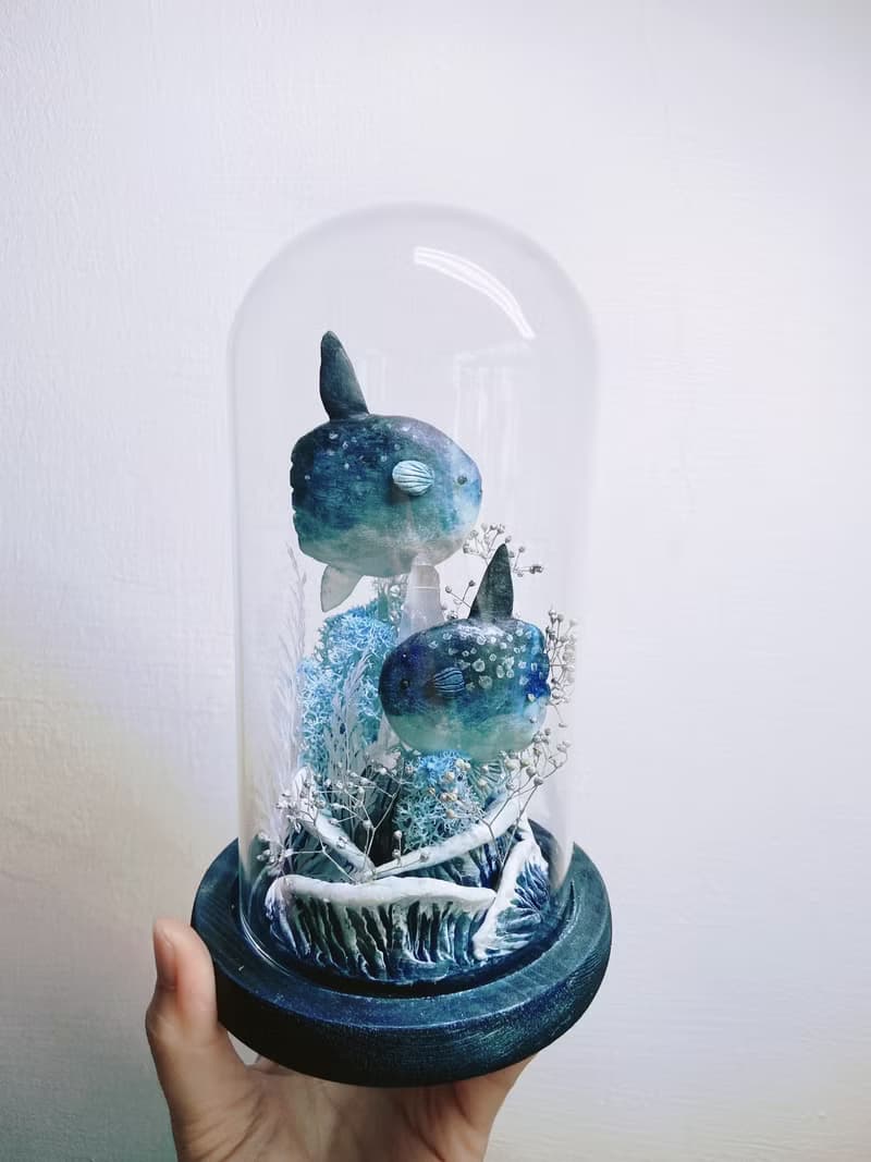 曼波魚漫游