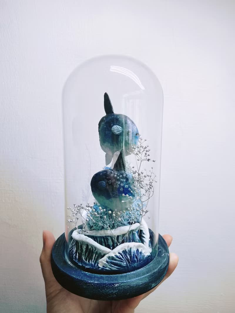 曼波魚漫游