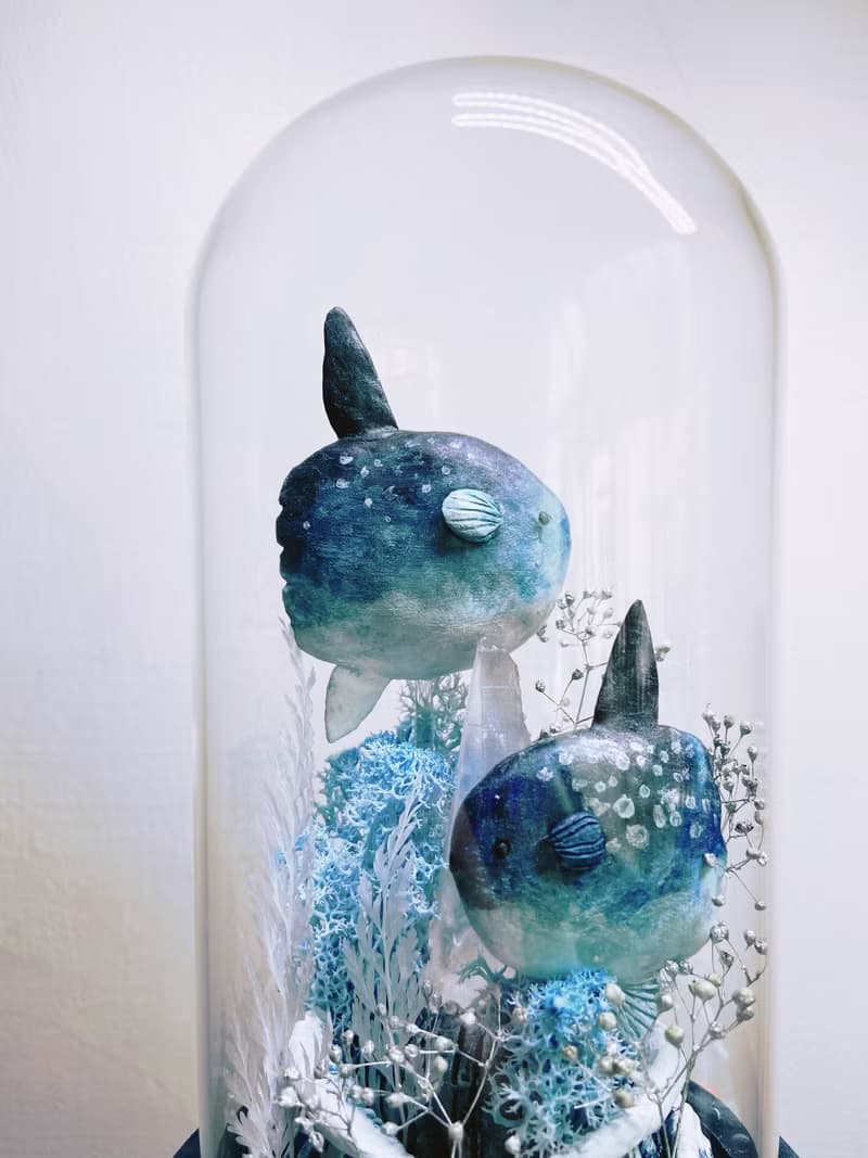 曼波魚漫游