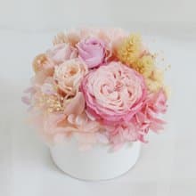 情人節禮物花束媽咪小寶貝6 盆花 求婚告白情人節生日男/女生中秋