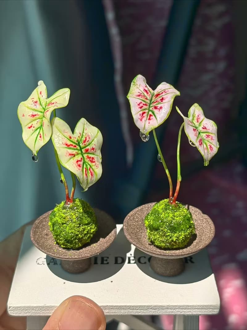 微縮粘土綠植盆栽草莓之心彩葉芋