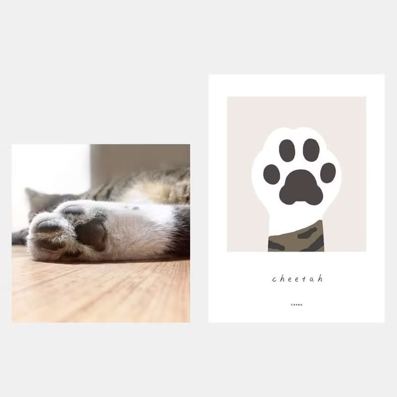 Paw Pad  Smartphone Grip / keyring