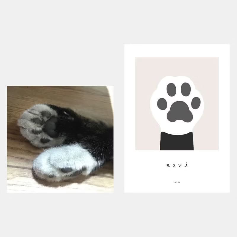 Paw Pad  Smartphone Grip / keyring