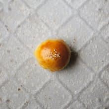 芋泥蛋黃酥 六入禮盒