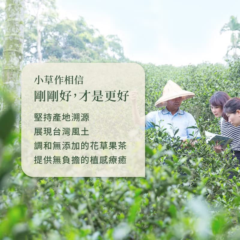 新手推薦花草茶組合【無咖啡因花草茶體驗組10入】咖啡因過敏救星