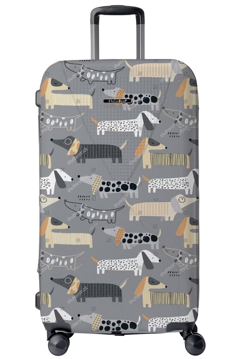 德國NaSaDen二代霍亨索倫29吋皮卡箱(運動箱/胖胖箱)-可擴充式