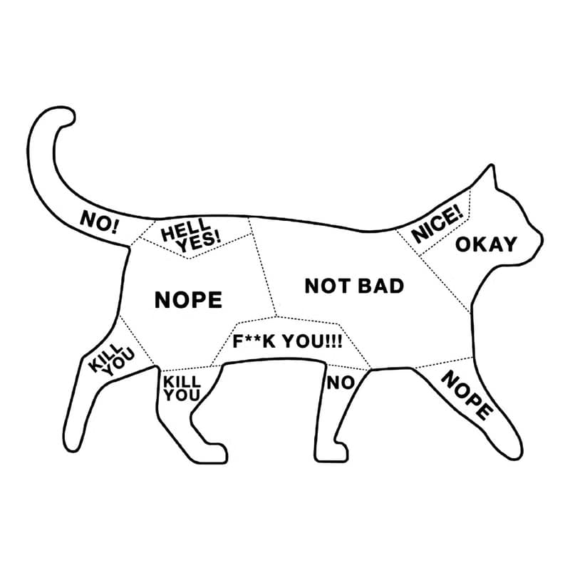 Cat Petting 刷毛帽T 中性版 灰色  貓咪撫摸注意事項文青禮物