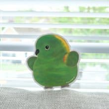 亞馬遜鸚鵡防水大貼紙 10cm  行李箱貼紙