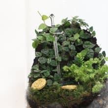 【微景觀】遺劍如故 - 寶劍遺跡/室內植物/生日禮物/畢業禮物