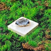 能量擺飾-瑪瑙可愛小晶洞聚寶盆 招財 療癒 開運 原礦 快速出貨